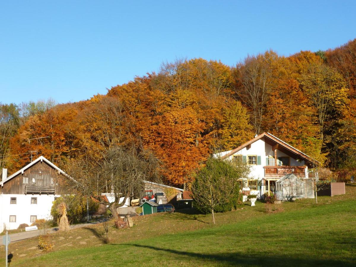 Ferienappartements Mit Herz Bischofsmais Kültér fotó